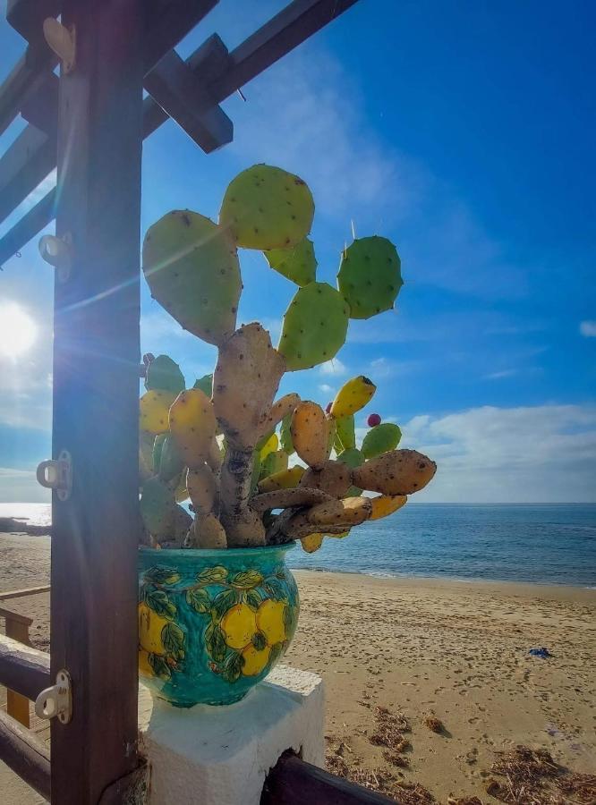 Appartamento La Coffa Agnone Cilento المظهر الخارجي الصورة