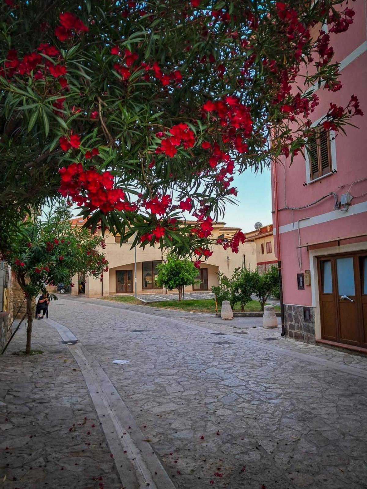 Appartamento La Coffa Agnone Cilento المظهر الخارجي الصورة
